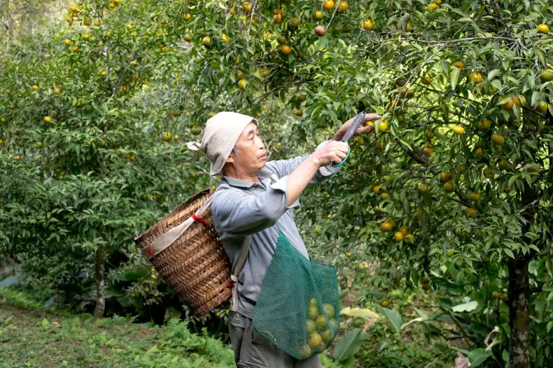 杭州良迈电商仓配一体化服务流程详解：从打包发货到退换货处理全链路解析